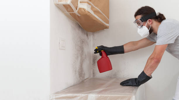 Professional Crawl Space Mold Remediation technician working in Freeland, PA