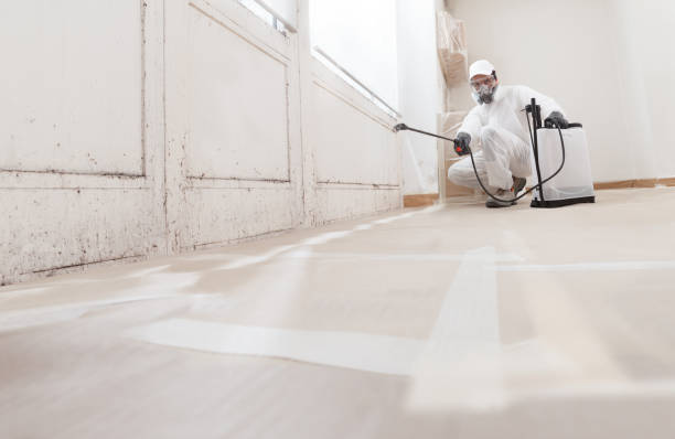 24/7 Emergency Crawl Space Mold Remediation experts in Freeland, PA